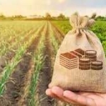 Земеделски имот в с. Раковски, Област Разград -  кв.м за 0 €/дка - Снимка #1