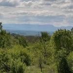 Парцел в Монтана, м-т Палековото - 1172 кв.м за 4 €/кв.м - Снимка #1