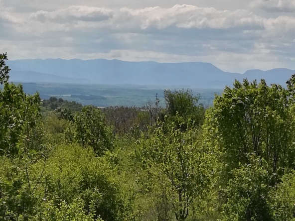 Парцел в Монтана, м-т Палековото - 1172 кв.м за 4 €/кв.м - Снимка #1