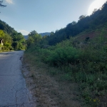 Земеделски имот в с. Чарково, Област Габрово -  кв.м за 7650 €/дка - Снимка #1