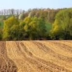 Земеделски имот в Варна, Възраждане 1 -  кв.м за 2040 €/дка - Снимка #1