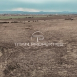 Парцел в с. Волуяк, Област София-град - 44000 кв.м за 45 €/кв.м - Снимка #1