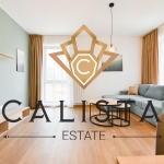 Дава се под наем Двустаен апартамент в София, Бъкстон - 70 кв.м за 749 € - Снимка #1