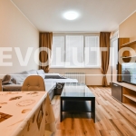 Дава се под наем Двустаен апартамент в София, Люлин 10 - 60 кв.м за 664 € - Снимка #1