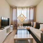 Дава се под наем Двустаен апартамент в София, Банишора - 47 кв.м за 599 € - Снимка #1