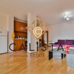 Дава се под наем Тристаен апартамент в София, Манастирски ливади - 105 кв.м за 750 € - Снимка #1