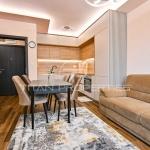 Дава се под наем Двустаен апартамент в София, Лагера - 55 кв.м за 700 € - Снимка #1