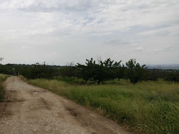 Парцел в с. Брестник, Област Пловдив - 610 кв.м за 69 €/кв.м - Снимка #1