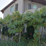 Къща в с. Стоб, Област Кюстендил - 110 кв.м за 1182 €/кв.м - Снимка #1