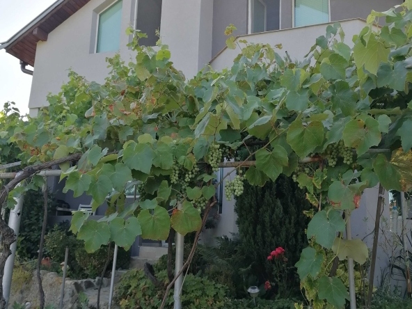 Къща в с. Стоб, Област Кюстендил - 110 кв.м за 1182 €/кв.м - Снимка #1