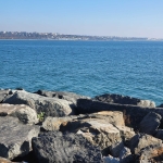 Парцел в София, Връбница 2 - 1000 кв.м за 10 €/кв.м - Снимка #1