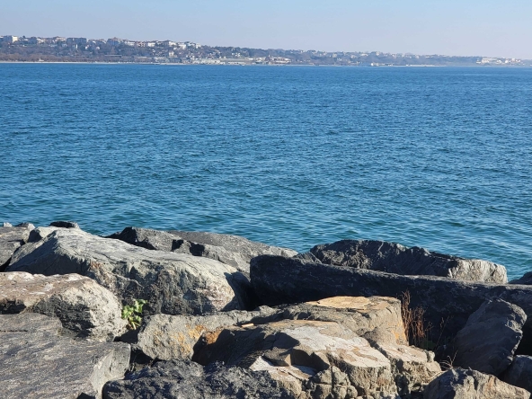 Парцел в София, Връбница 2 - 1000 кв.м за 10 €/кв.м - Снимка #1