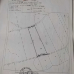 Земеделски имот в Кула -  кв.м за 723 €/дка - Снимка #1