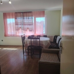 Дава се под наем Ателие в Видин, Георги Бенковски - 40 кв.м за 158.1 € - Снимка #1