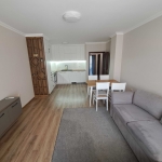 Дава се под наем Тристаен апартамент в Пловдив, Кючук Париж - 87 кв.м за 484.5 € - Снимка #1