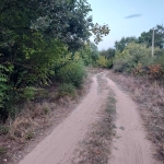 Парцел в с. Златосел, Област Пловдив - 5700 кв.м за 4 €/кв.м - Снимка #1