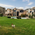 Дава се под наем Къща в София, Витоша - 300 кв.м за 61.2 € - Снимка #1