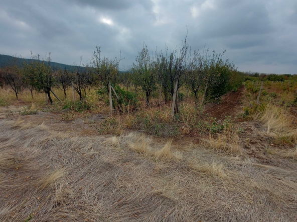 Парцел в Пловдив, Коматевски възел - 2050 кв.м за 70 €/кв.м - Снимка #1