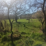 Парцел в с. Манолово, Област Стара Загора - 960 кв.м за 10 €/кв.м - Снимка #1