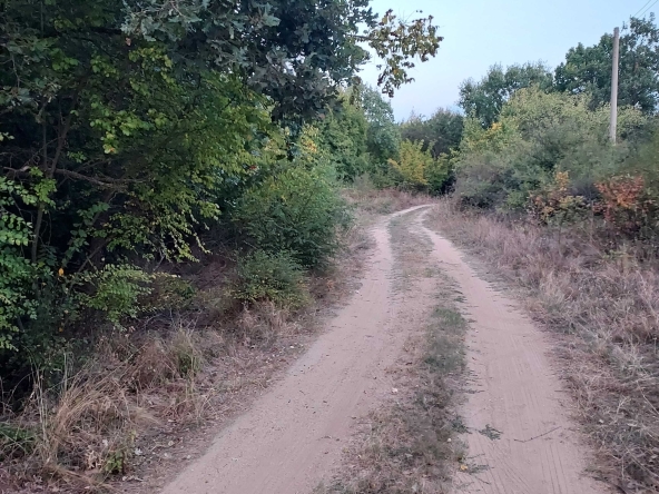 Парцел в с. Златосел, Област Пловдив - 5700 кв.м за 6 €/кв.м - Снимка #1