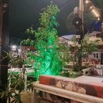 Магазин в Сандански - 180 кв.м за 85 €/кв.м - Снимка #1