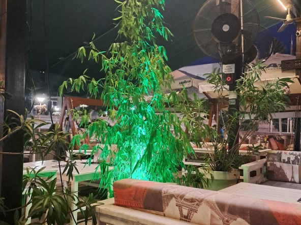 Магазин в Сандански - 180 кв.м за 85 €/кв.м - Снимка #1