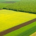 Парцел в Аксаково - 1000 кв.м за 3 €/кв.м - Снимка #1