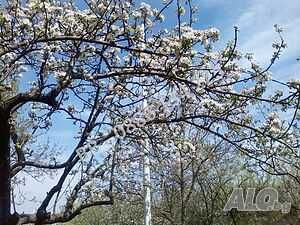 Парцел в София, в.з. Киноцентъра - 730 кв.м за 698 €/кв.м - Снимка #1