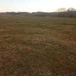 Парцел в с. Пъстрен, Област Стара Загора - 2500 кв.м за 3 €/кв.м - Снимка #1