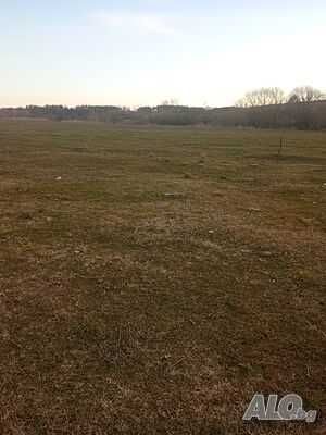 Парцел в с. Пъстрен, Област Стара Загора - 2500 кв.м за 3 €/кв.м - Снимка #1