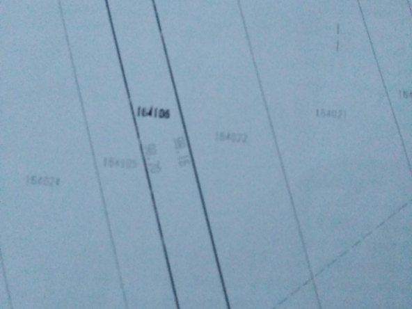 Земеделски имот в Белене -  кв.м за 918 €/дка - Снимка #1