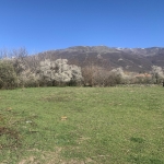 Парцел в Карлово - 1190 кв.м за 22 €/кв.м - Снимка #1