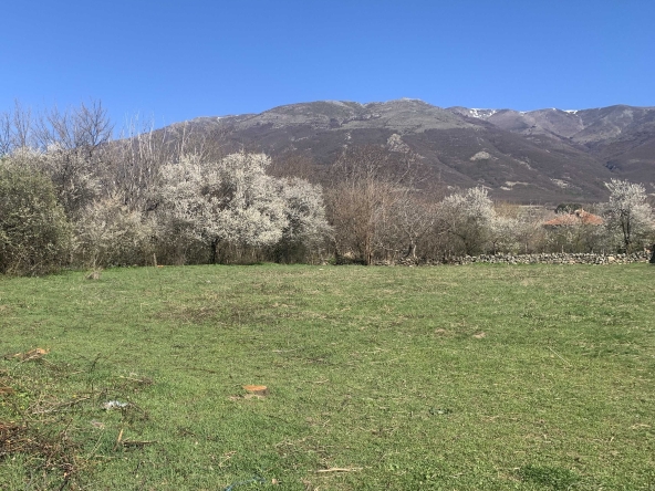 Парцел в Карлово - 1190 кв.м за 22 €/кв.м - Снимка #1