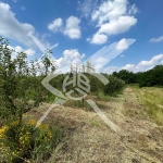 Земеделски имот в с. Брестовица, Област Пловдив -  кв.м за 1275 €/дка - Снимка #1