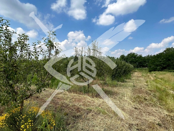 Земеделски имот в с. Брестовица, Област Пловдив -  кв.м за 1275 €/дка - Снимка #1