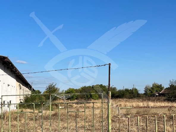 Парцел в с. Бегово, Област Пловдив - 10000 кв.м за 8 €/кв.м - Снимка #1