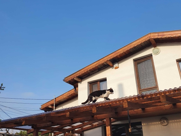 Къща в София, Христо Ботев - 90 кв.м за 692 €/кв.м - Снимка #1