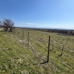 Земеделски имот в Тетевен -  кв.м за 4 €/дка - Снимка #1