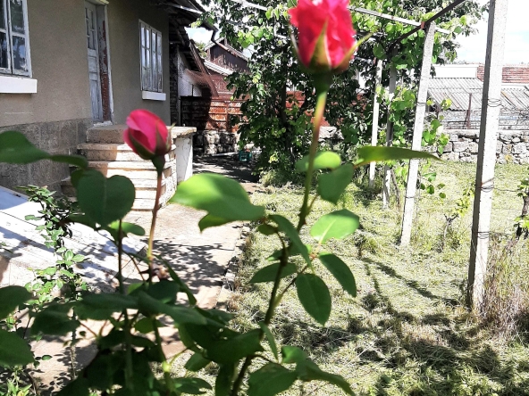 Къща в с. Щръклево, Област Русе - 80 кв.м за 351 €/кв.м - Снимка #1