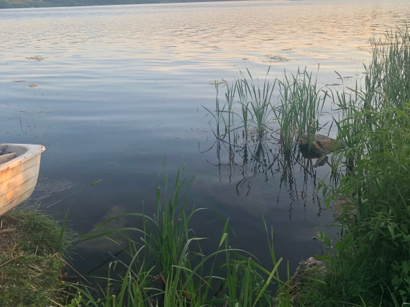 Парцел в с. Лобош, Област Перник - 5900 кв.м за 7 €/кв.м - Снимка #1