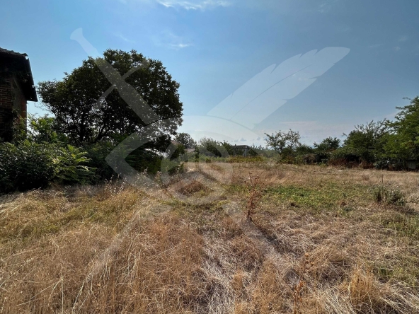 Парцел в с. Костиево, Област Пловдив - 557 кв.м за 58 €/кв.м - Снимка #1