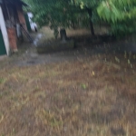 Къща в Искър - 100 кв.м за 230 €/кв.м - Снимка #1