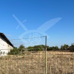 Парцел в с. Бегово, Област Пловдив - 10000 кв.м за 15 €/кв.м - Снимка #1