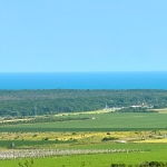 Парцел в к.к. Златни пясъци - 500 кв.м за 70 €/кв.м - Снимка #1