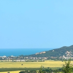 Парцел в с. Рогачево, Област Добрич - 500 кв.м за 70 €/кв.м - Снимка #1