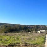 Парцел в с. Приселци, Област Варна - 653 кв.м за 40 €/кв.м - Снимка #1