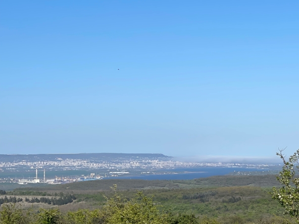 Земеделски имот в с. Константиново, Област Варна -  кв.м за 1659 €/дка - Снимка #1