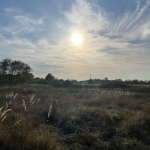 Парцел в Варна, Лятно кино Тракия - 1401 кв.м за 24 €/кв.м - Снимка #1