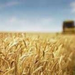 Земеделски имот в Добрич, Градска болница -  кв.м за 2040 €/дка - Снимка #1