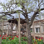 Къща в с. Сърцево, Област Сливен - 80 кв.м за 223 €/кв.м - Снимка #1